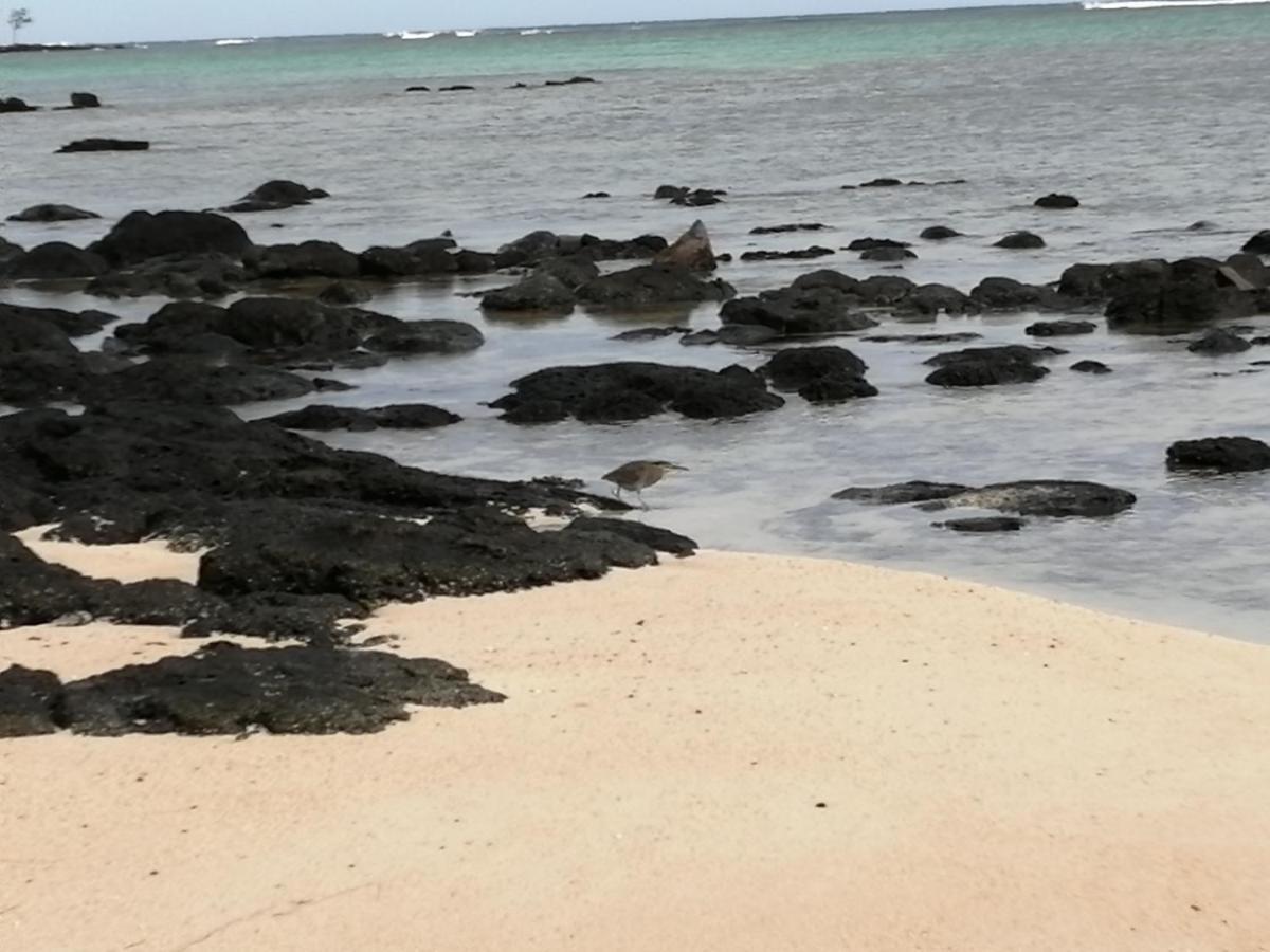 Les Filaos De Pereybere Leilighet Pereybere Beach Eksteriør bilde